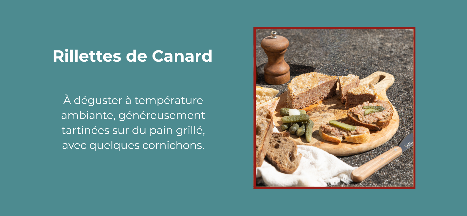 Rillettes de canard